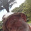 Avatar de Didier